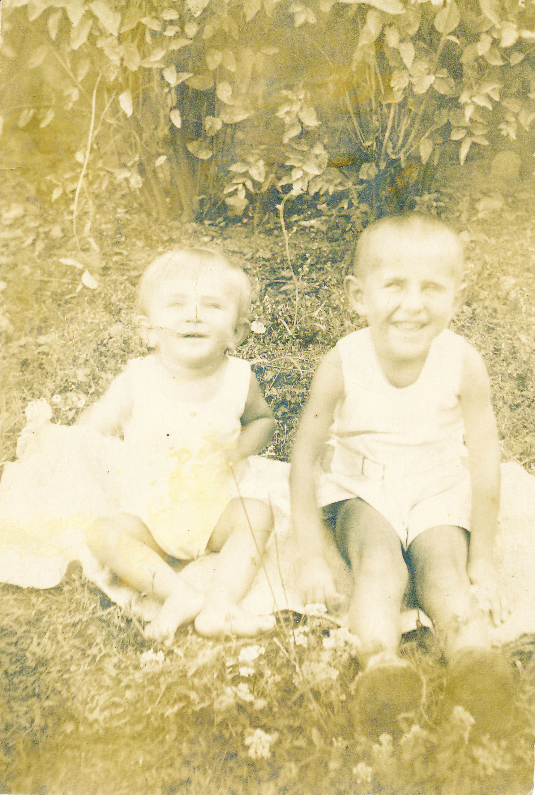 7. Julije, desno, s mlađim bratom na travnjaku. Skupni portret.